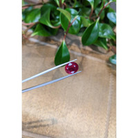 5.45 Ct. Rubellite Tourmaline from Brazil Life Style
