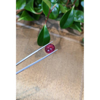 5.45 Ct. Rubellite Tourmaline from Brazil Life Style