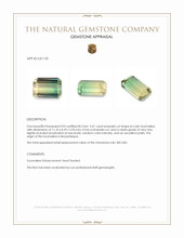 5.41 Ct. Bi Color Tourmaline from Mozambique Appraisal