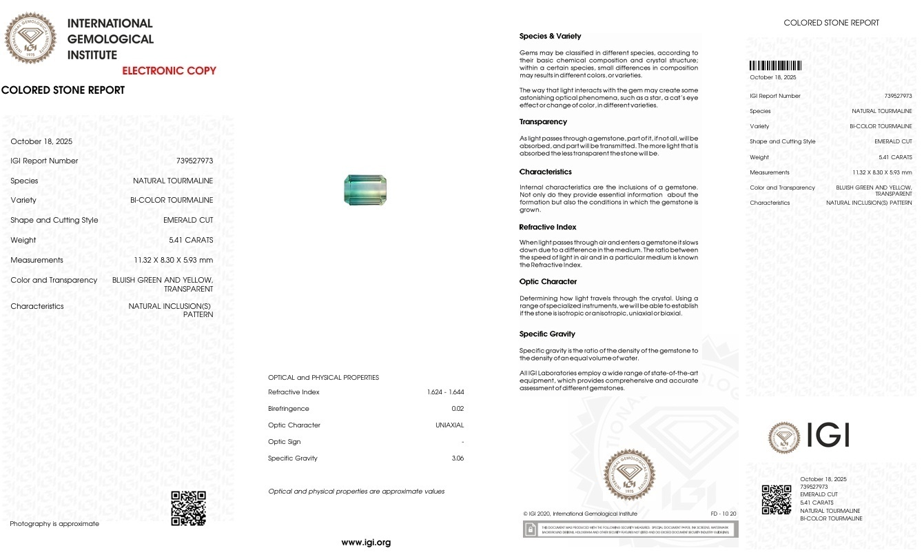 5.41 Ct. Tourmaline from Mozambique