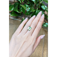 5.41 Ct. Tourmaline from Mozambique Life Style