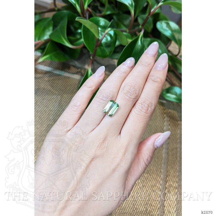 5.41 Ct. Tourmaline from Mozambique