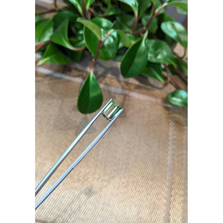 5.41 Ct. Tourmaline from Mozambique