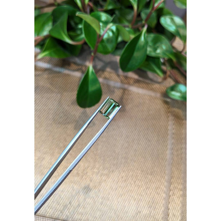 5.41 Ct. Tourmaline from Mozambique