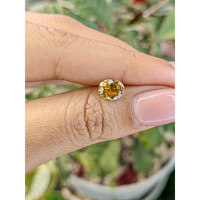 1.81 Ct. Zircon from Ceylon (Sri Lanka) Life Style