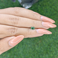 0.31 Ct. Green Tourmaline from Tanzania Life Style