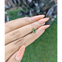 0.69 Ct. Tourmaline from Tanzania Life Style