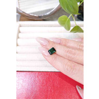 2.31 Ct. Tourmaline from Mozambique Life Style