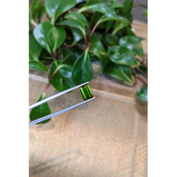 3.28 Ct. Tourmaline from Mozambique Life Style