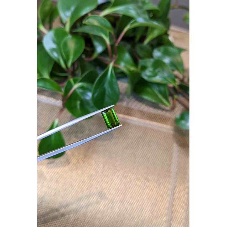 3.28 Ct. Tourmaline from Mozambique