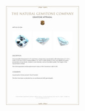 4.73 Ct. Blue Aquamarine from Brazil Appraisal
