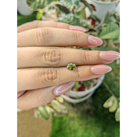 0.92 Ct. Tourmaline from Ceylon (Sri Lanka) Life Style