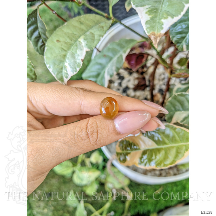 5.56 Ct. Cabochon Agate from Brazil