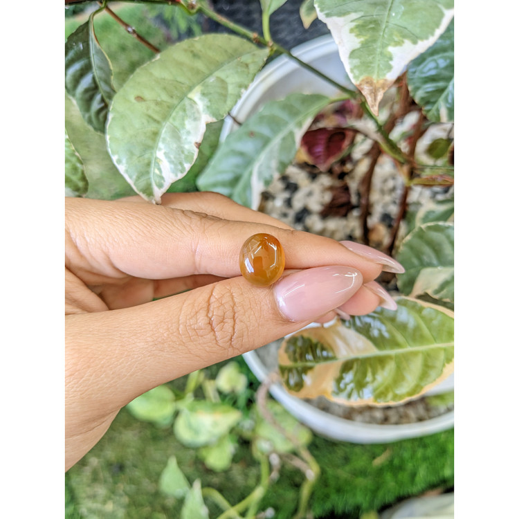 5.56 Ct. Cabochon Agate from Brazil