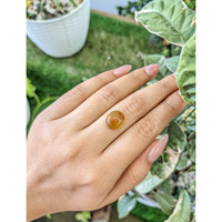 5.56 Ct. Cabochon Agate from Brazil Life Style