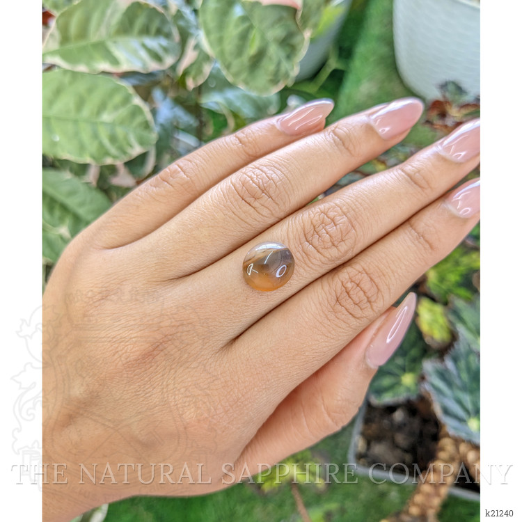 5.30 Ct. Cabochon Agate from Brazil