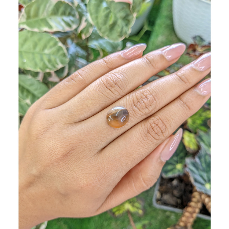 5.30 Ct. Cabochon Agate from Brazil