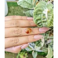 4.95 Ct. Cabochon Agate from Brazil Life Style