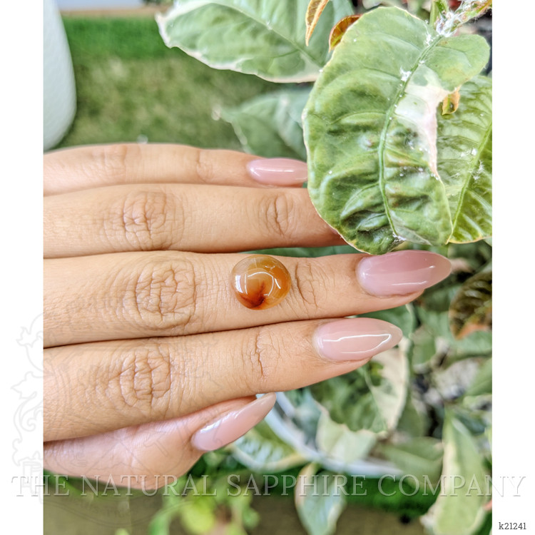 4.95 Ct. Cabochon Agate from Brazil