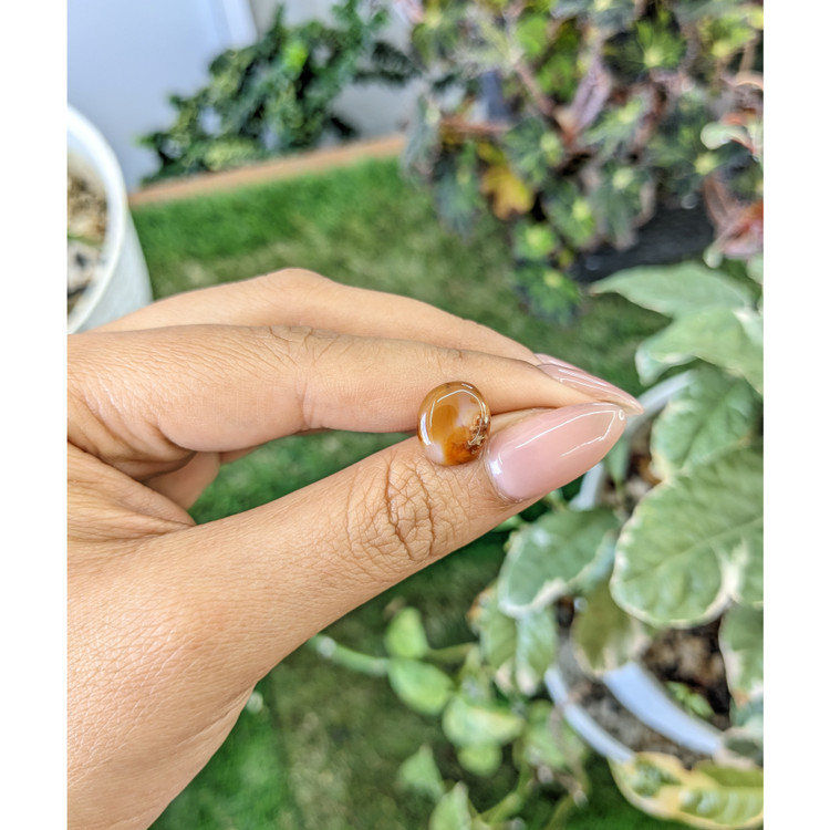 4.13 Ct. Cabochon Agate from Brazil