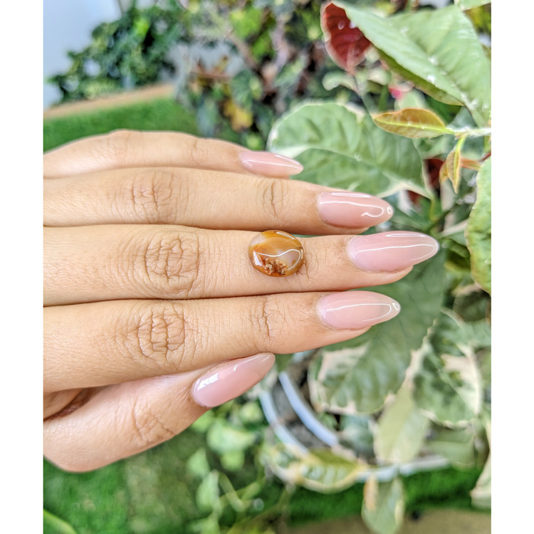 4.13 Ct. Cabochon Agate from Brazil