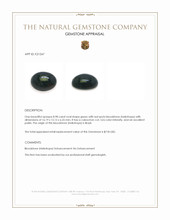 8.98 Ct. Green with Red Spots Cabochon Bloodstone (Heliotrope) from Brazil Appraisal