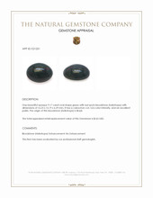 9.17 Ct. Green with Red Spots Cabochon Bloodstone (Heliotrope) from Brazil Appraisal