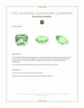 2.88 Ct. Green Grossular Garnet from Madagascar Appraisal