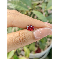 1.46 Ct. Rhodolite Garnet from Ceylon (Sri Lanka) Life Style