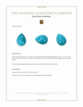 7.34 Ct. Blue Cabochon Turquoise from USA Appraisal