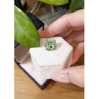 11.06 Ct. Prasiolite from Brazil Life Style