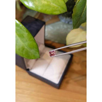 0.59 Ct. Tourmaline from Brazil Life Style