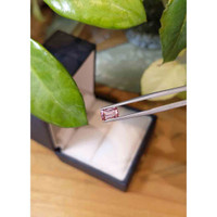 0.78 Ct. Tourmaline from Brazil Life Style