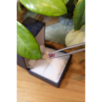 0.46 Ct. Tourmaline from Brazil Life Style