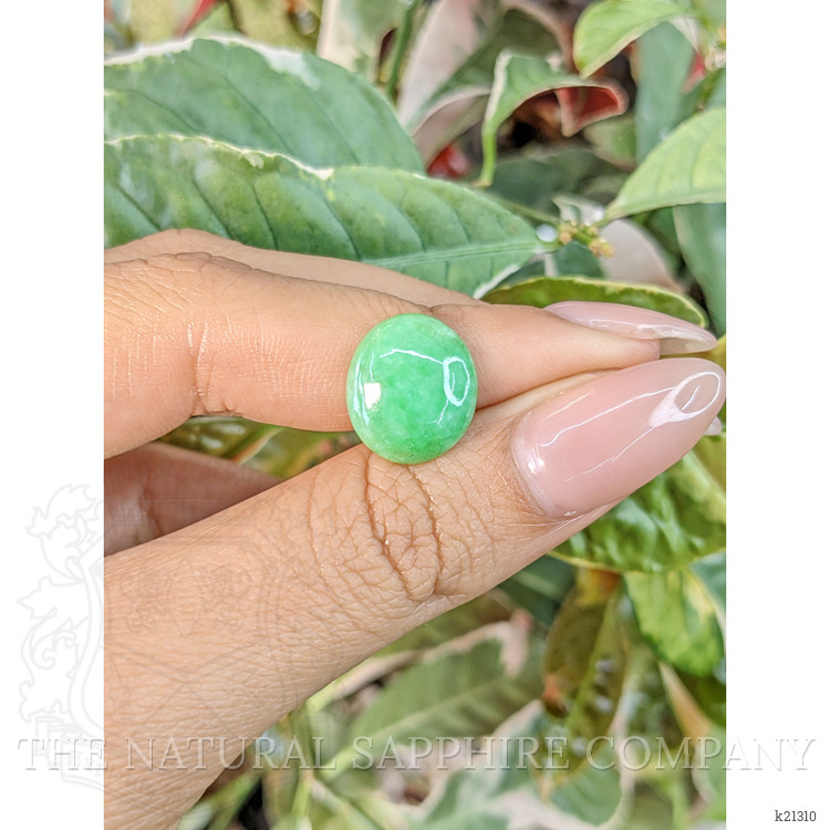 5.67 Ct. Cabochon Jade from Burma (Myanmar)