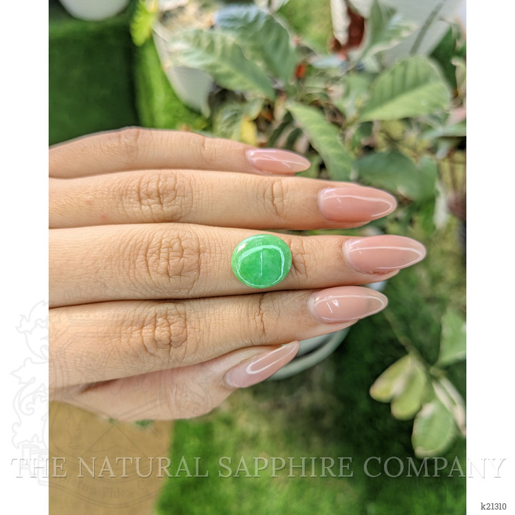 5.67 Ct. Cabochon Jade from Burma (Myanmar)