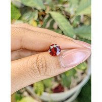 2.37 Ct. Garnet from Ceylon (Sri Lanka) Life Style