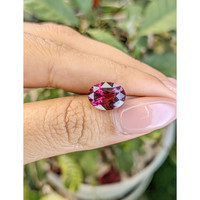 5.27 Ct. Garnet from Ceylon (Sri Lanka) Life Style