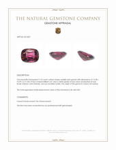 7.25 Ct. Reddish Pink Garnet from Ceylon (Sri Lanka) Appraisal