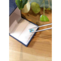 0.89 Ct. Zircon from Cambodia Life Style