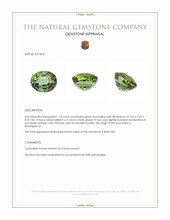 1.18 Ct. Green Tourmaline from Madagascar Appraisal