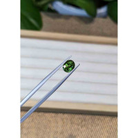 1.60 Ct. Tourmaline from Madagascar Life Style