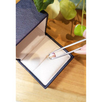 2.16 Ct. Tourmaline from Mozambique Life Style