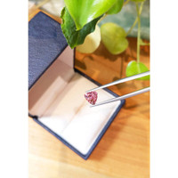 1.86 Ct. Tourmaline from Mozambique Life Style