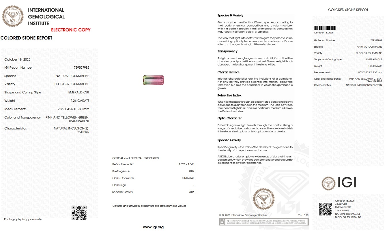 1.26 Ct. Tourmaline from Mozambique