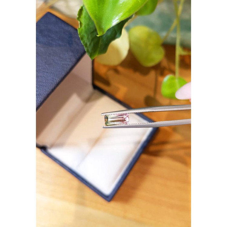 1.26 Ct. Tourmaline from Mozambique