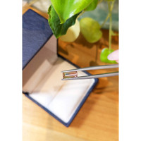 1.26 Ct. Tourmaline from Mozambique Life Style