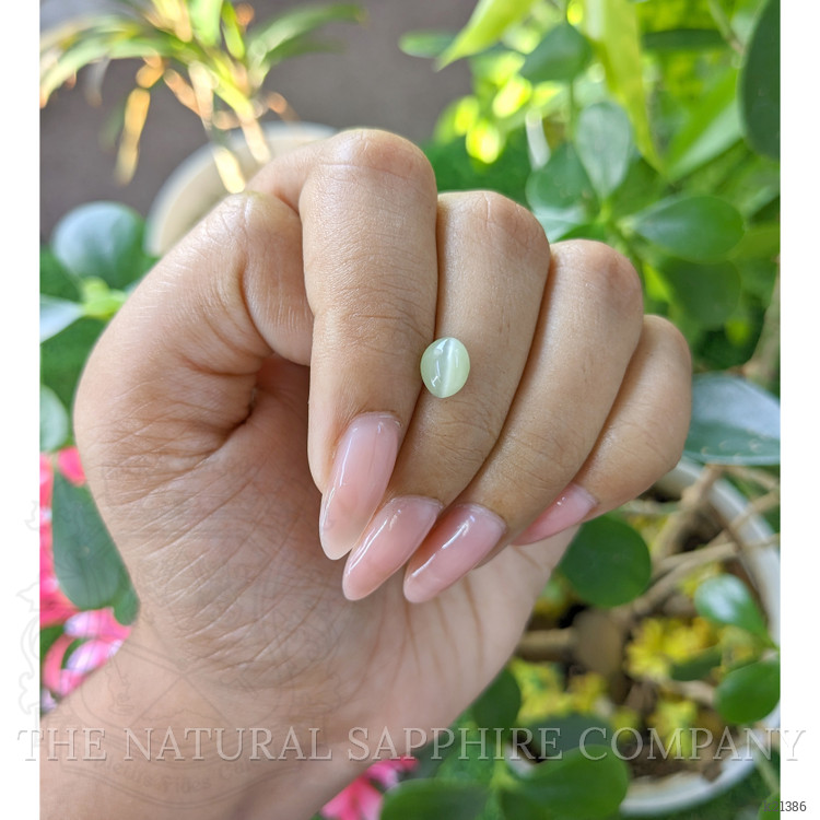 1.79 Ct. Cabochon Chrysoberyl from Tanzania