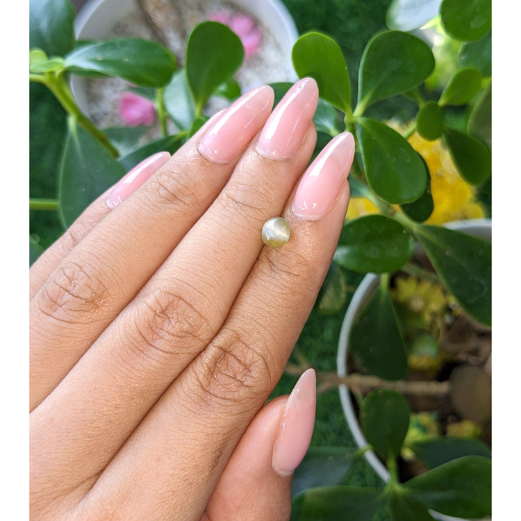 1.49 Ct. Cabochon Chrysoberyl from Tanzania