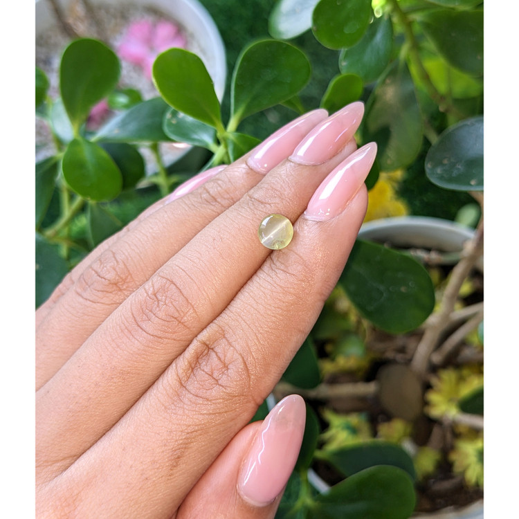 1.68 Ct. Cabochon Chrysoberyl from Tanzania